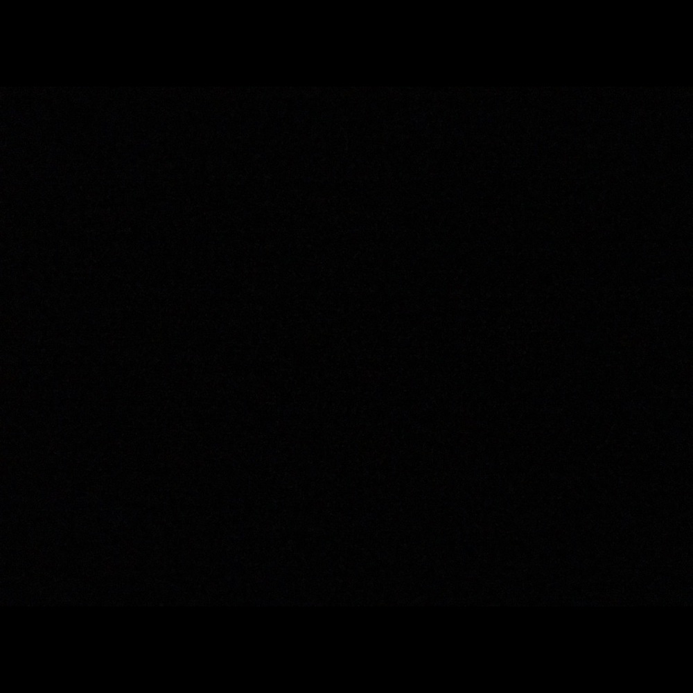 Meet your Posher, Delilah